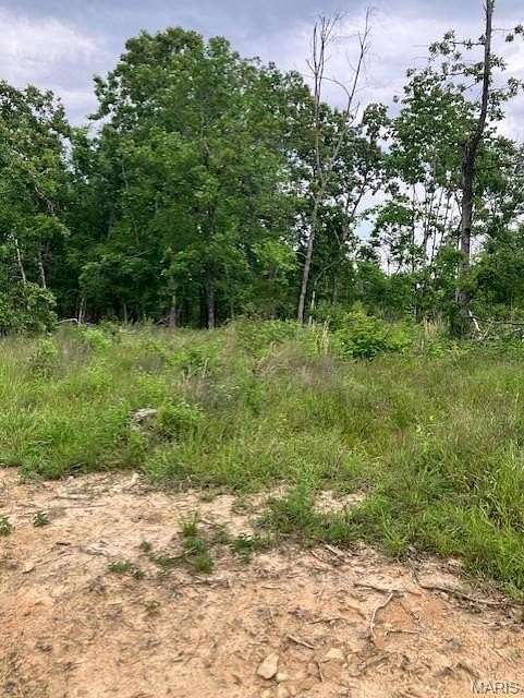 14.6 Acres of Land for Sale in Fredericktown, Missouri