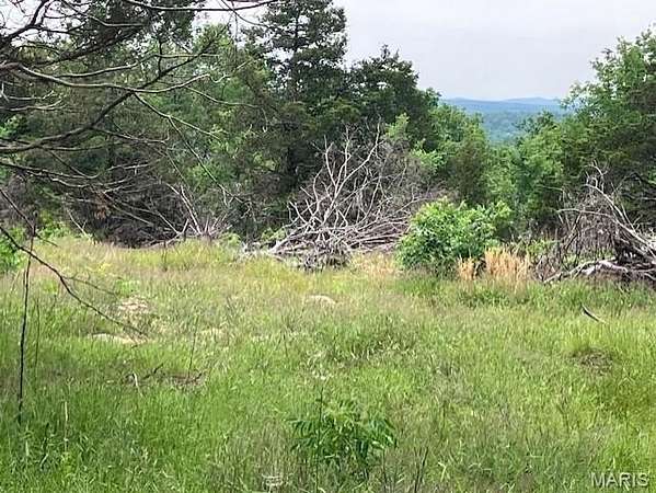 20 Acres of Recreational & Residential Land for Sale in Fredericktown, Missouri