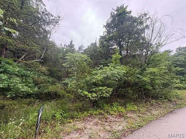 0.32 Acres of Residential Land for Sale in Central Township, Missouri