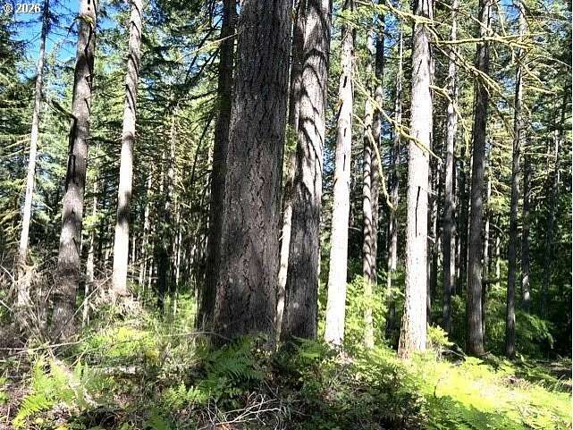 40 Acres of Recreational Land for Sale in Banks, Oregon