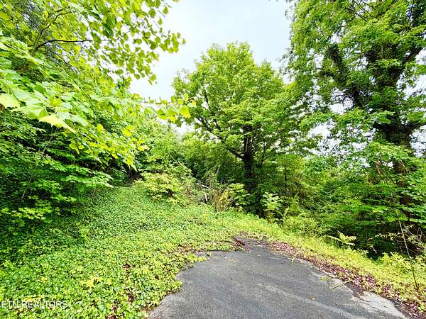 4 Acres of Residential Land for Sale in Tellico Plains, Tennessee