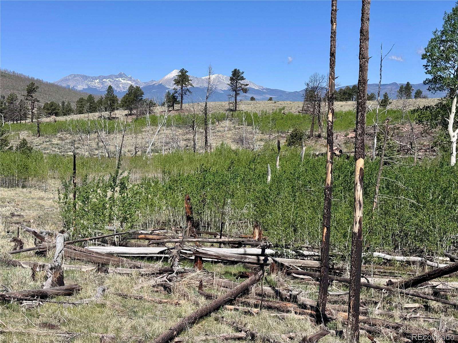 1.6 Acres of Residential Land for Sale in Fort Garland, Colorado