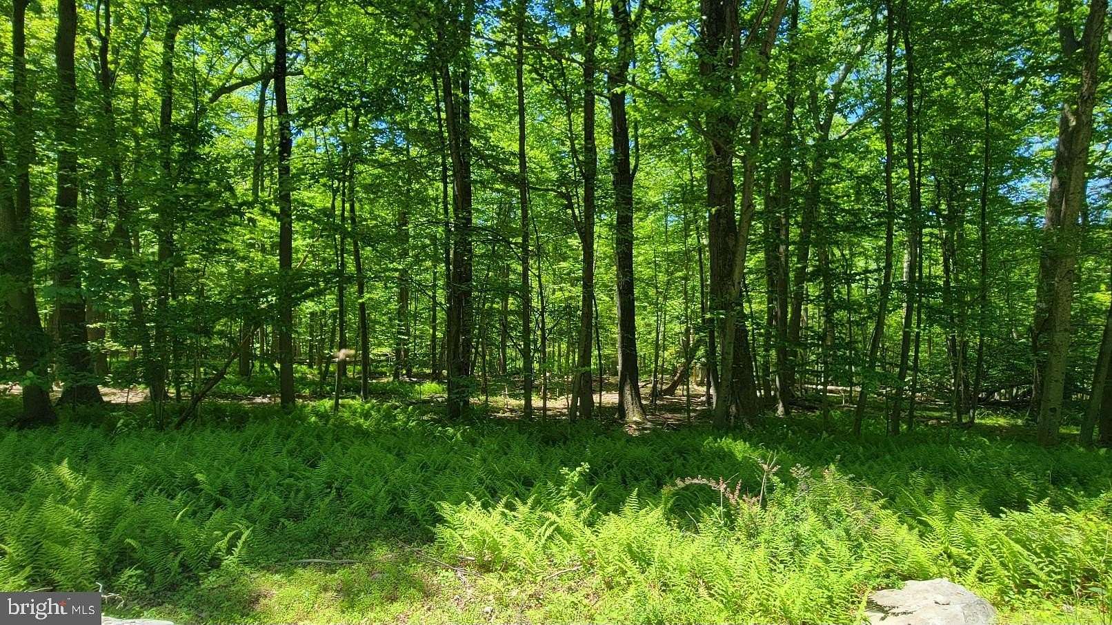 11.1 Acres of Land for Sale in Thurmont, Maryland