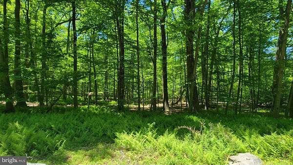 11.1 Acres of Land for Sale in Thurmont, Maryland