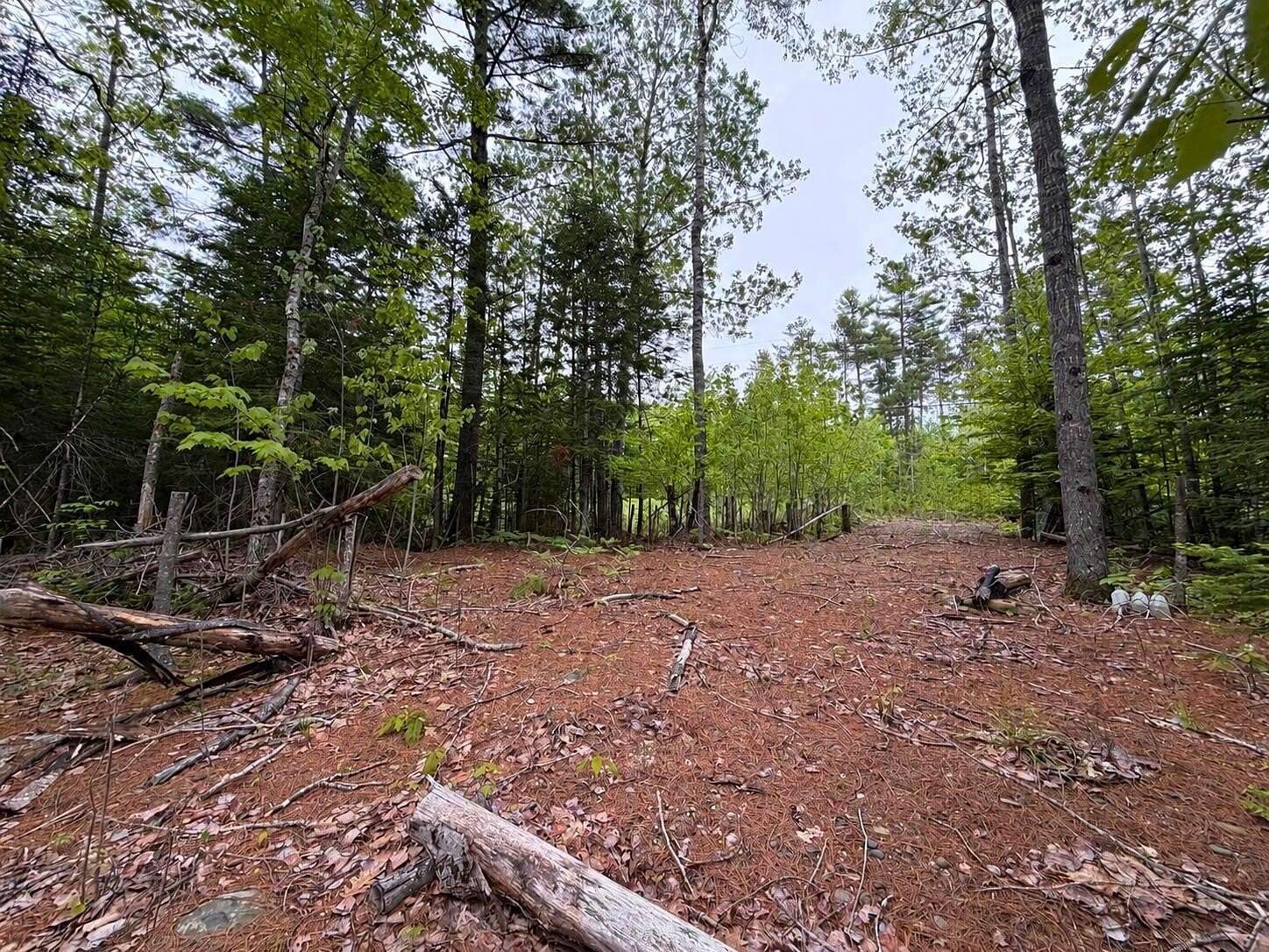 17 Acres of Recreational & Residential Land for Sale in Clifton, Maine