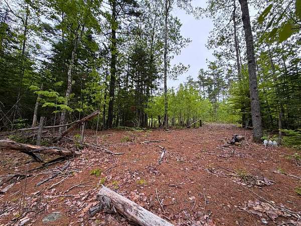 17 Acres of Recreational & Residential Land for Sale in Clifton, Maine
