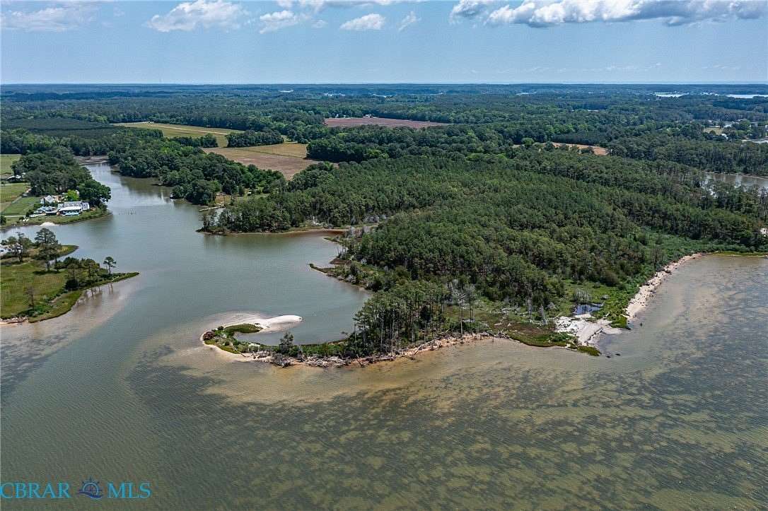 100 Acres of Land for Sale in Bohannon, Virginia