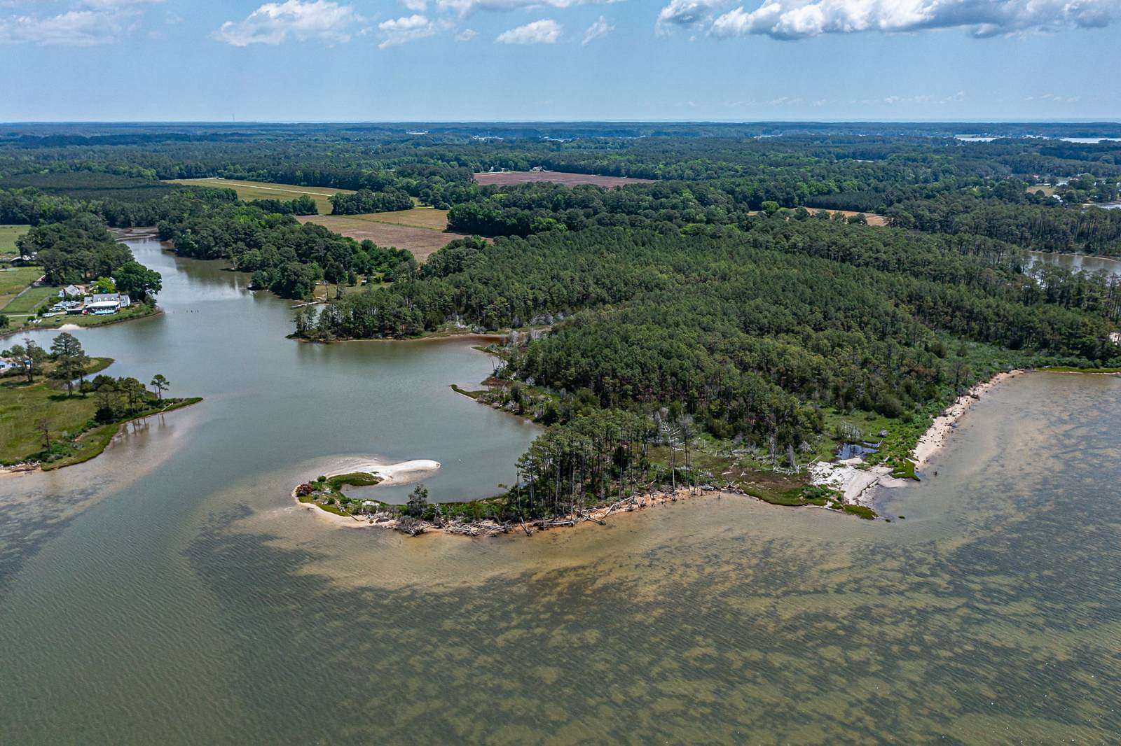 100 Acres of Land for Sale in Bohannon, Virginia