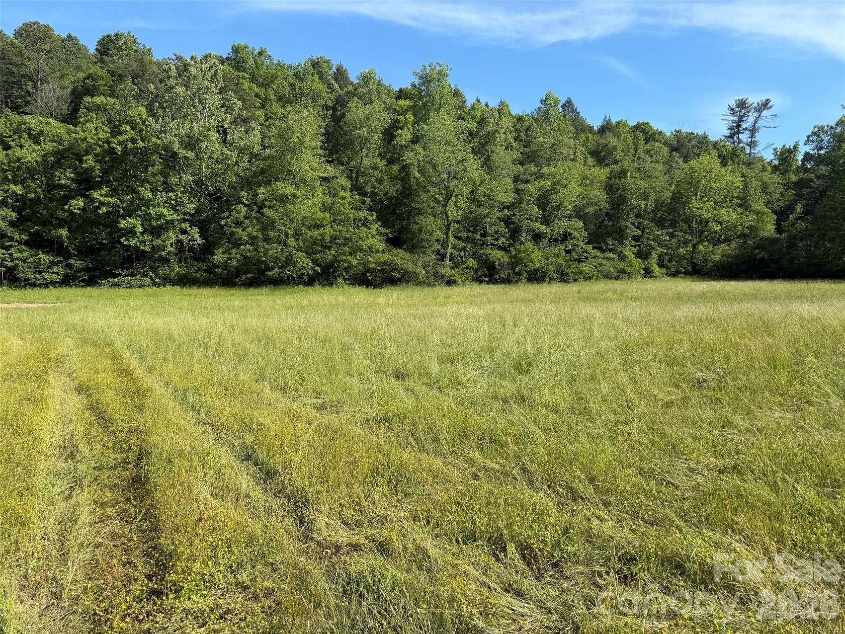 8.1 Acres of Residential Land for Sale in Old Fort, North Carolina