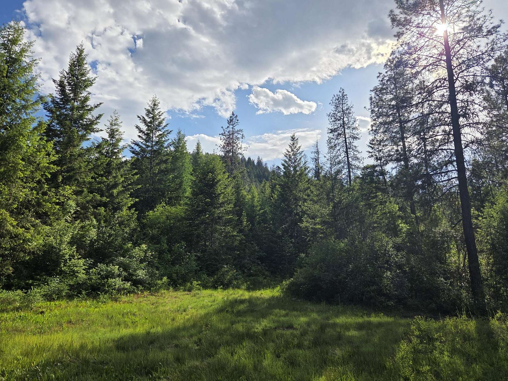 40 Acres of Recreational & Residential Land for Sale in Colville, Washington