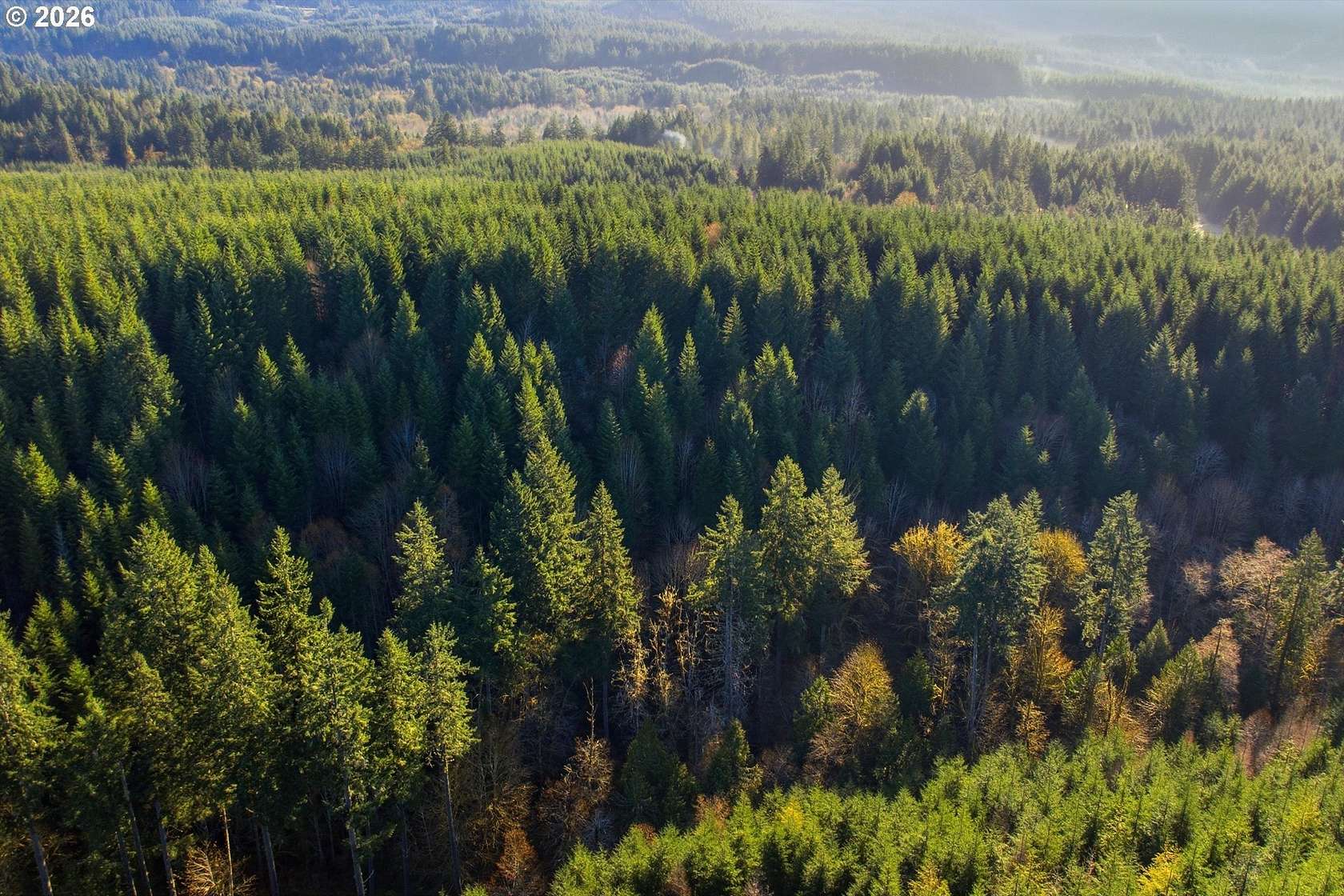40 Acres of Recreational Land for Sale in Banks, Oregon