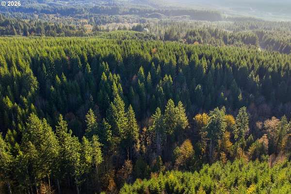40 Acres of Recreational Land for Sale in Banks, Oregon