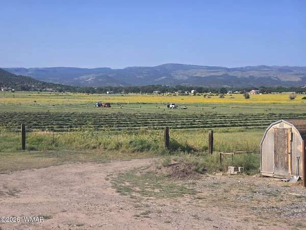 30.3 Acres of Agricultural Land for Sale in Springerville, Arizona