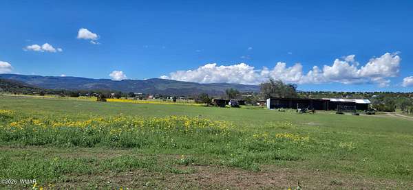 30.3 Acres of Agricultural Land for Sale in Springerville, Arizona
