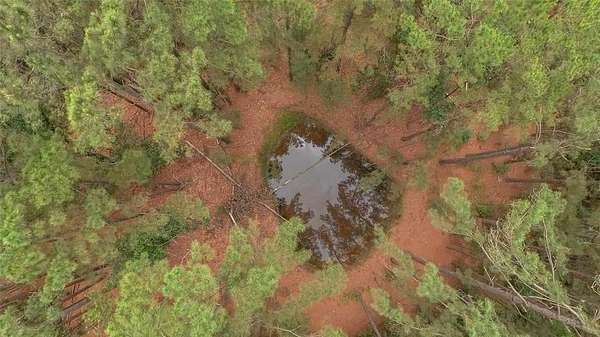 10 Acres of Recreational & Residential Land for Sale in Oakwood, Texas