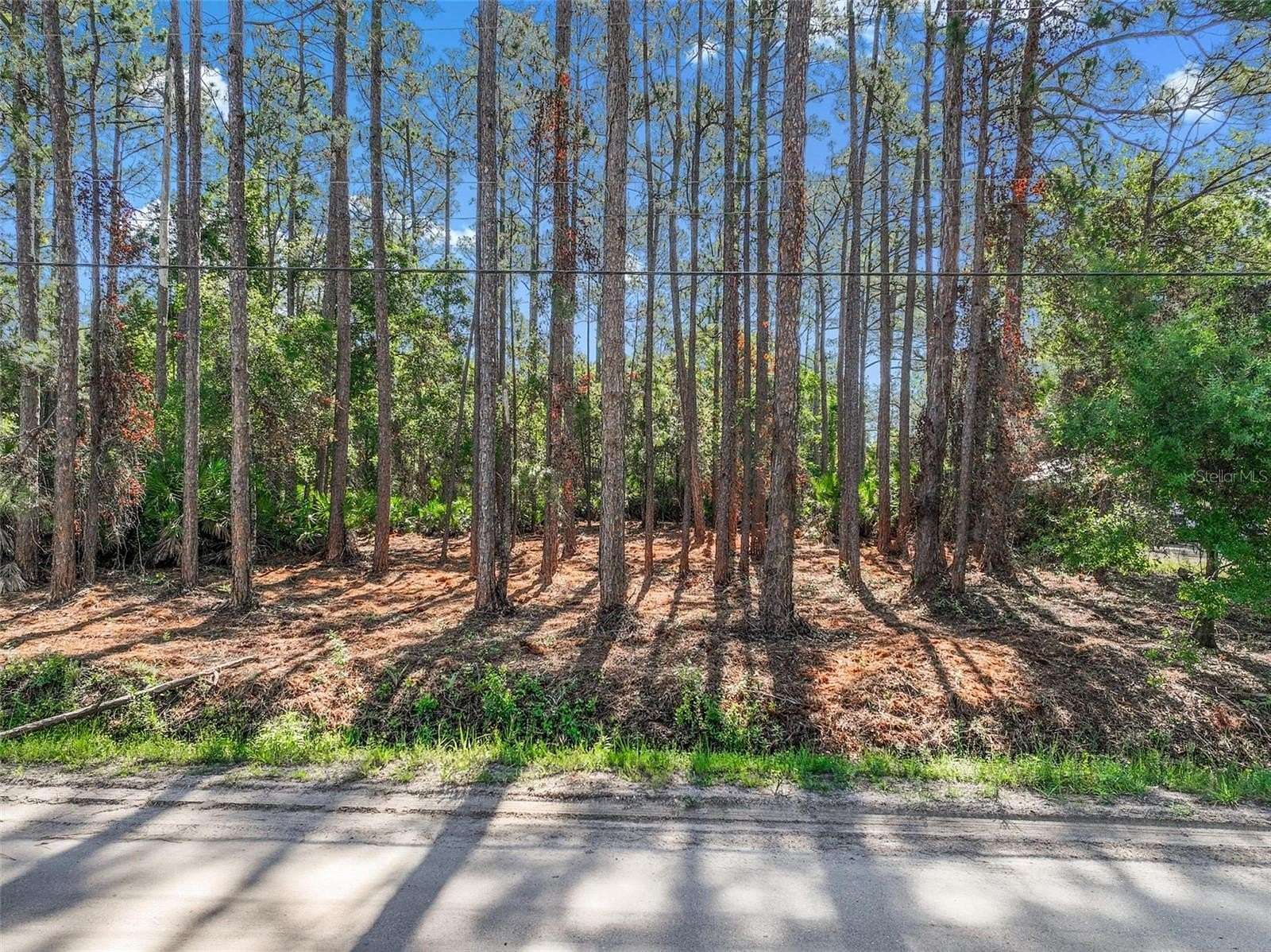 1.14 Acres of Residential Land for Sale in Bunnell, Florida