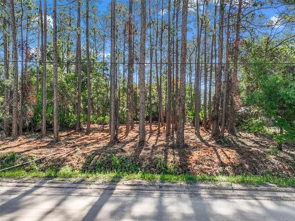 1.14 Acres of Residential Land for Sale in Bunnell, Florida