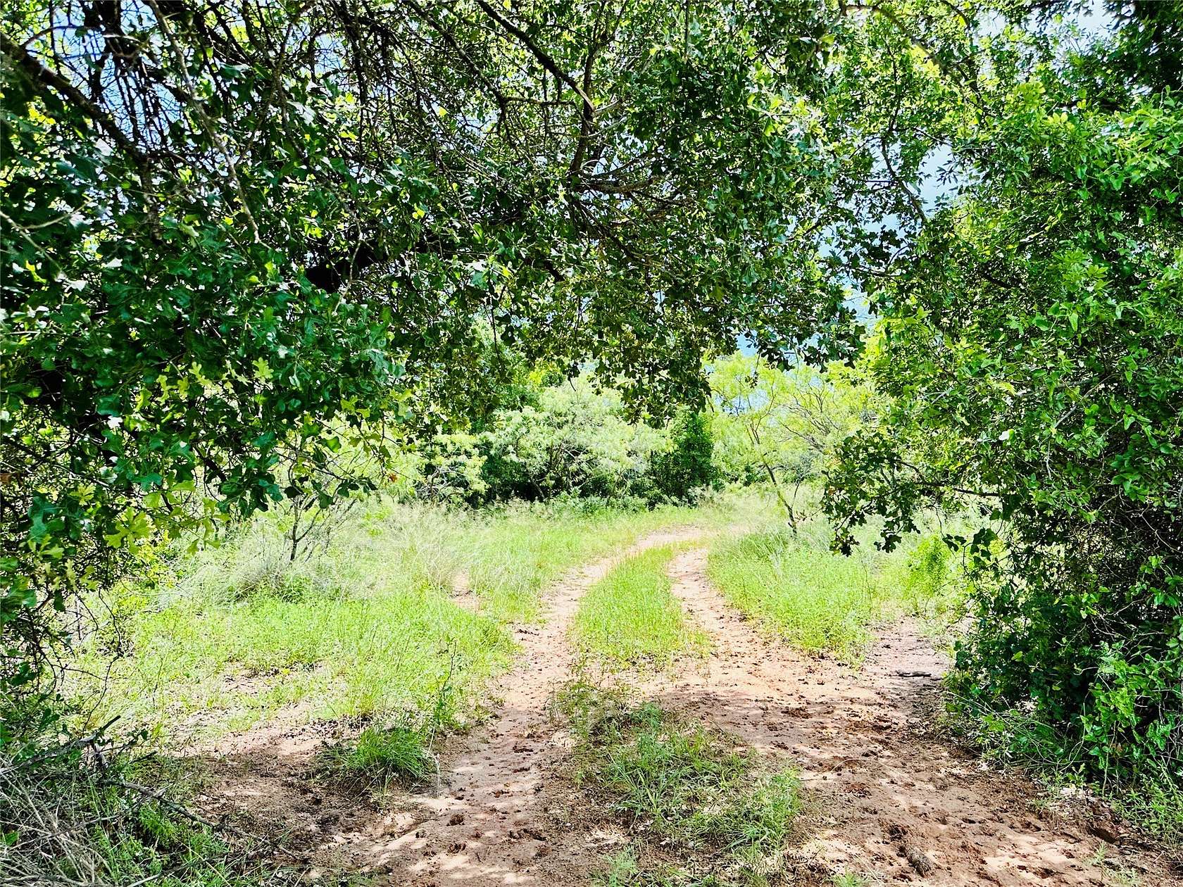 150 Acres of Land for Sale in Cross Plains, Texas