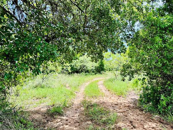 150 Acres of Land for Sale in Cross Plains, Texas