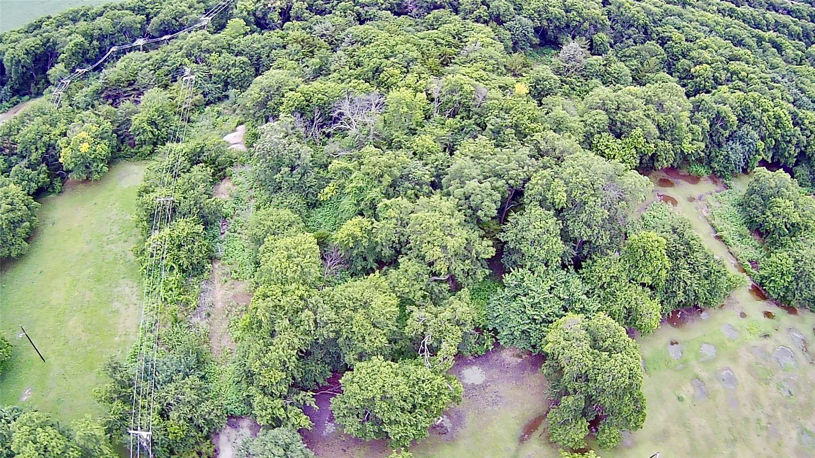 0.35 Acres of Mixed-Use Land for Sale in Nevada, Texas