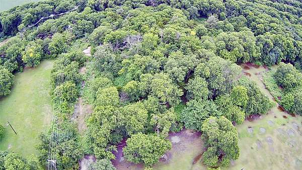 0.35 Acres of Mixed-Use Land for Sale in Nevada, Texas