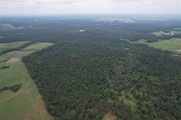 110 Acres of Recreational & Residential Land for Sale in Laneville, Texas