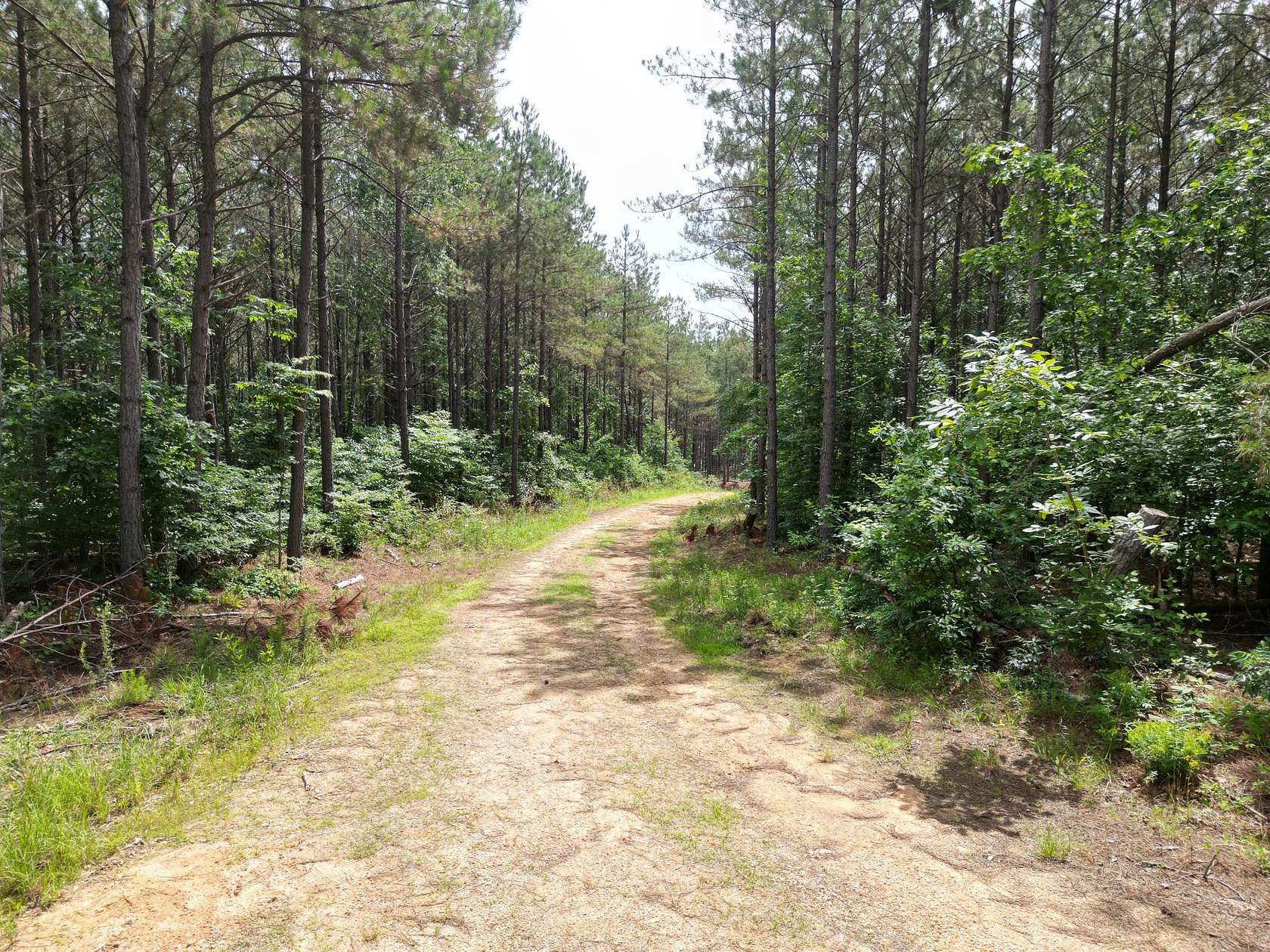 5.15 Acres of Residential Land for Sale in Hohenwald, Tennessee