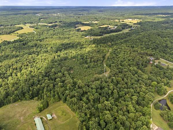 12 Acres of Land for Sale in Fairview, Tennessee