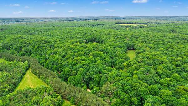 76.2 Acres of Recreational & Residential Land for Sale in McEwen, Tennessee
