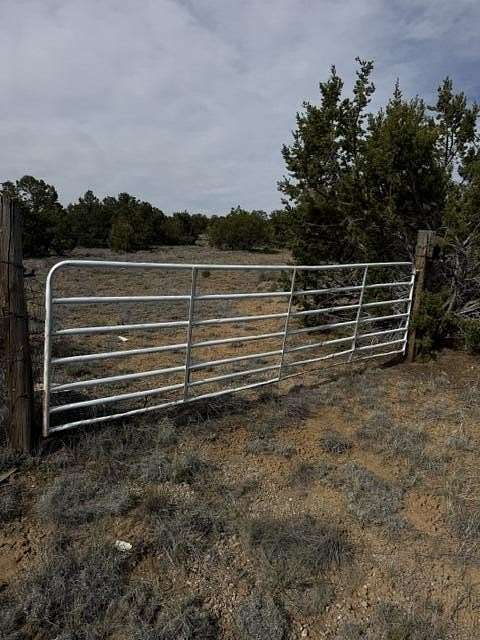 8 Acres of Residential Land for Sale in Ramah, New Mexico