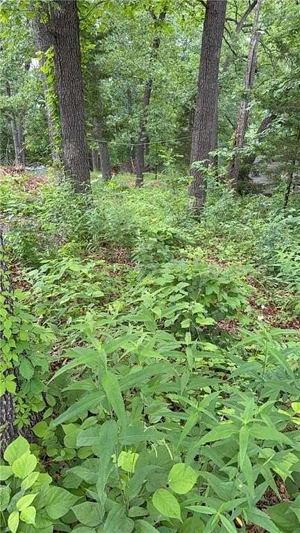 0.06 Acres of Land for Sale in Warsaw, Missouri