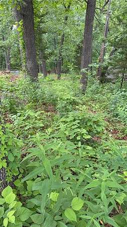0.06 Acres of Land for Sale in Warsaw, Missouri