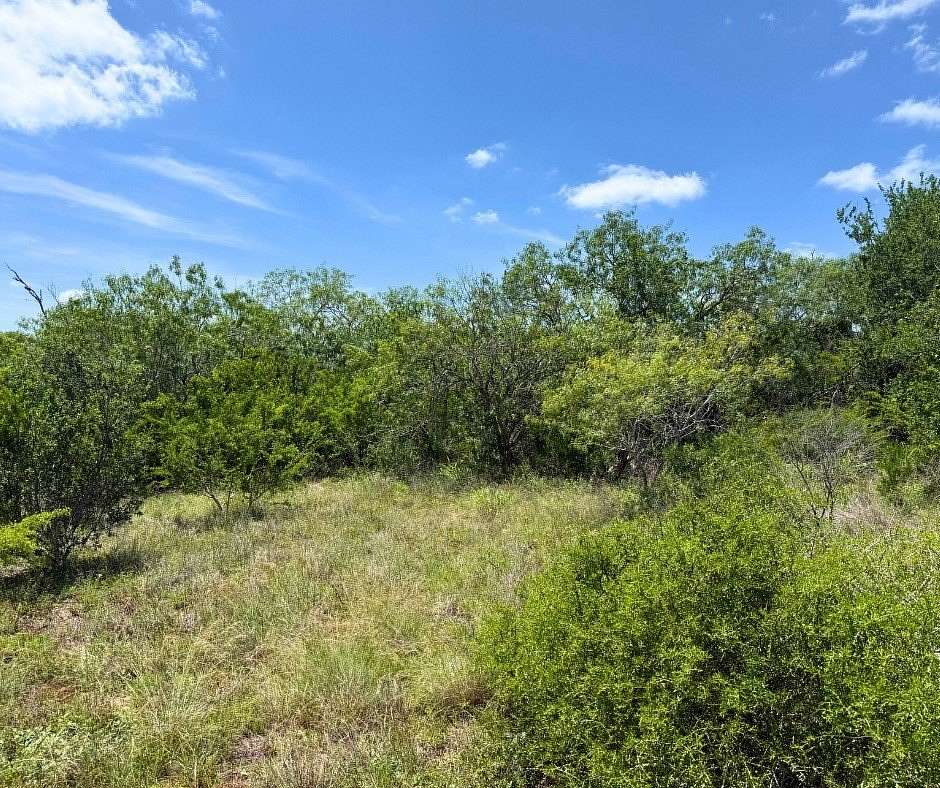 5.32 Acres of Residential Land for Sale in Beeville, Texas
