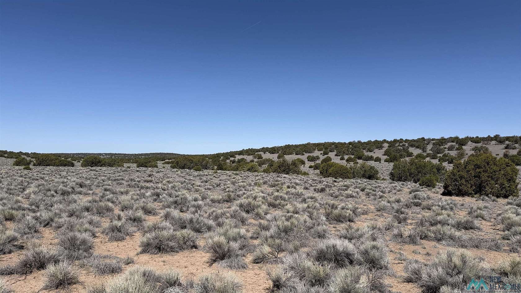 10.6 Acres of Recreational & Residential Land for Sale in Quemado, New Mexico