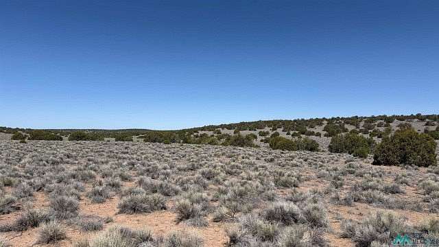 10.6 Acres of Recreational & Residential Land for Sale in Quemado, New Mexico