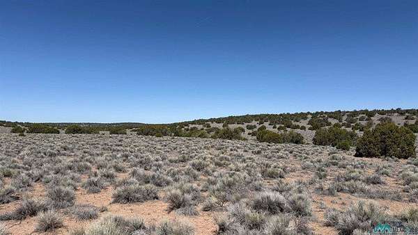 10.6 Acres of Recreational & Residential Land for Sale in Quemado, New Mexico
