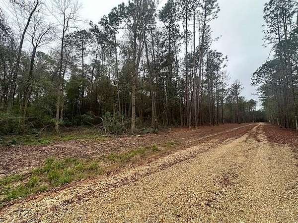 Residential Land for Sale in Covington, Louisiana