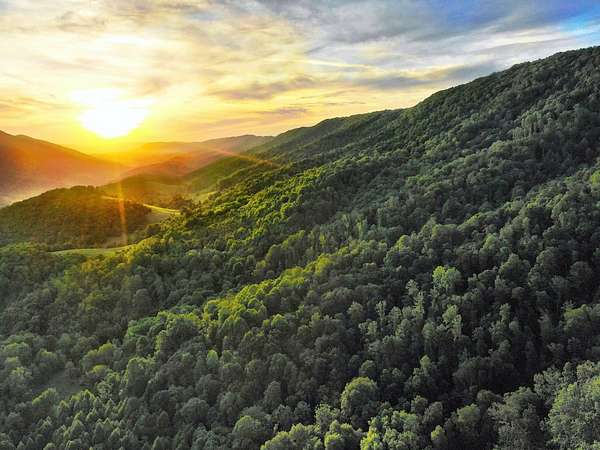 590 Acres of Land with Home for Sale in Narrows, Virginia