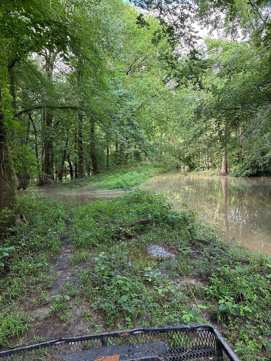143 Acres of Recreational Land for Sale in Cotton Plant, Arkansas
