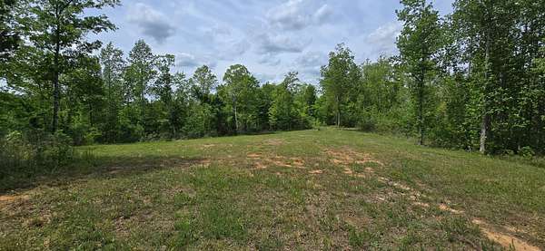 29 Acres of Land for Sale in Henderson, Tennessee