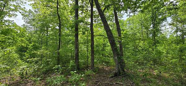 76 Acres of Land for Sale in Henderson, Tennessee