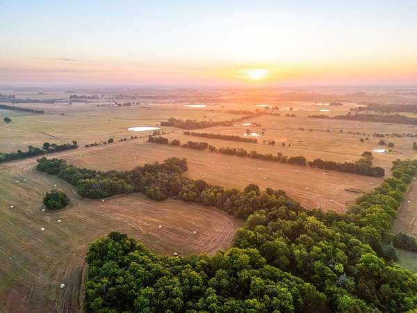 117 Acres of Land for Sale in Honey Grove, Texas