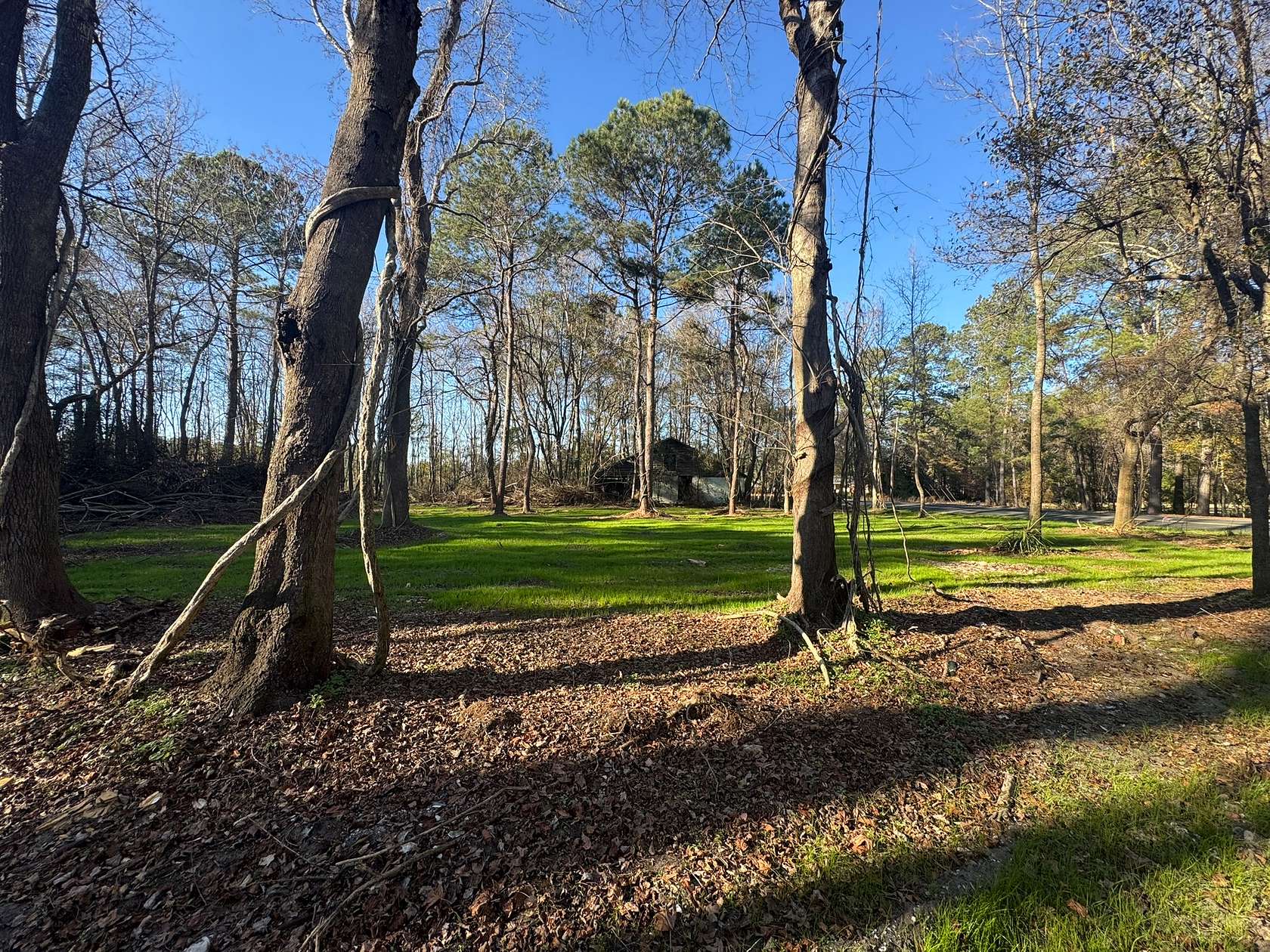 3.88 Acres of Recreational Land for Sale in St. George, South Carolina