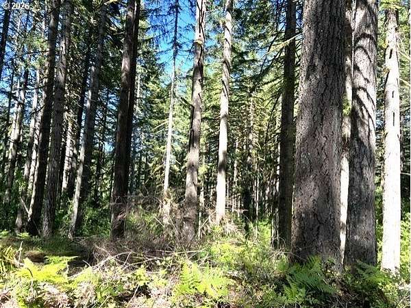 151 Acres of Recreational Land for Sale in Banks, Oregon