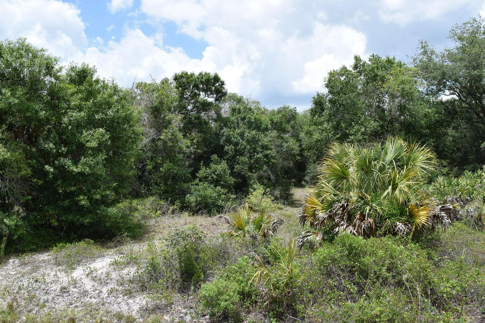 1.25 Acres of Residential Land for Sale in Okeechobee, Florida