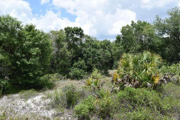 1.25 Acres of Residential Land for Sale in Okeechobee, Florida