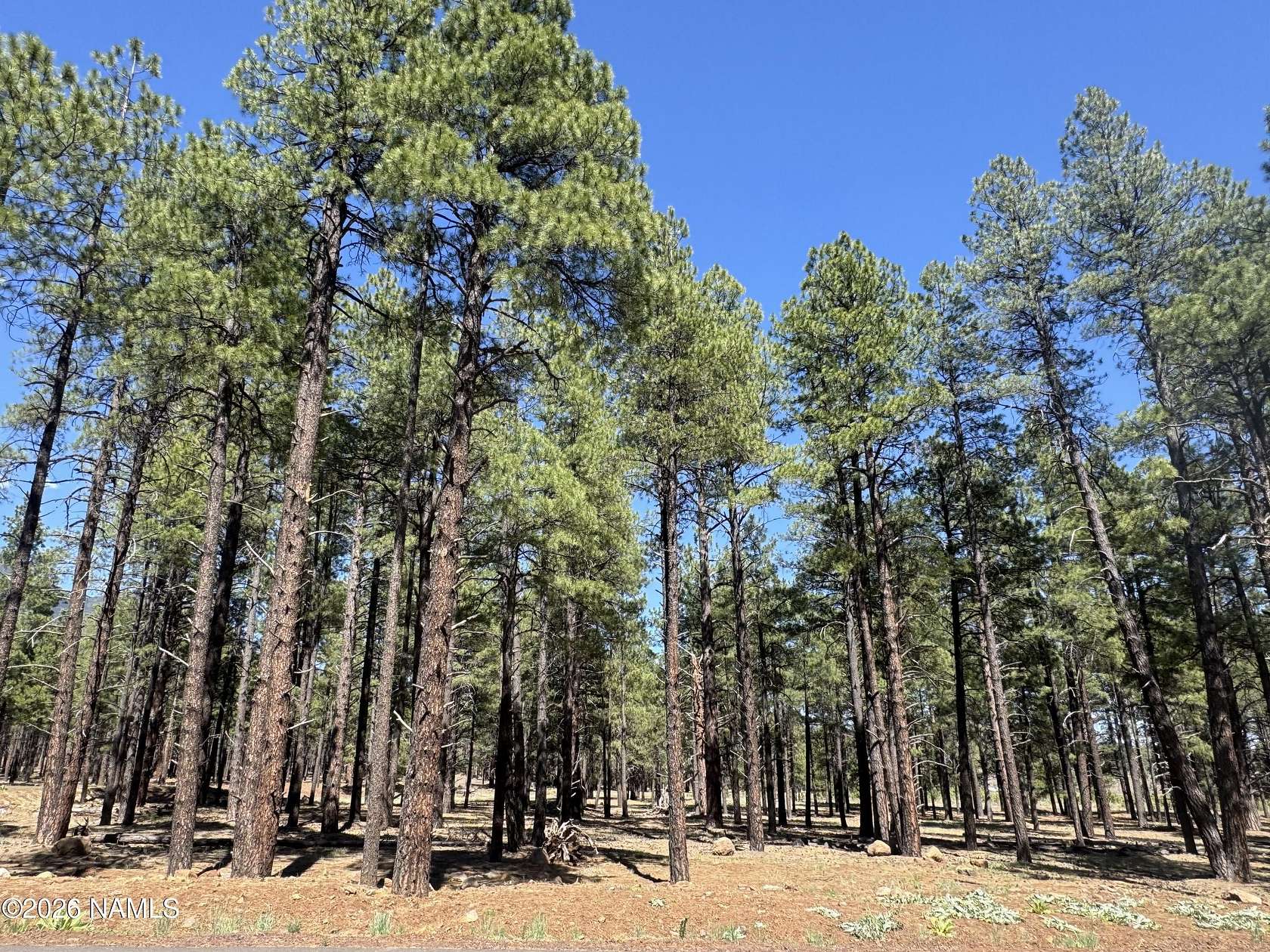 2 Acres of Residential Land for Sale in Flagstaff, Arizona
