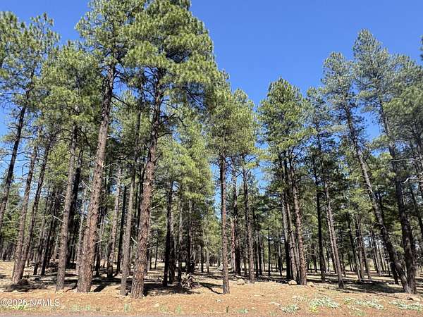 2 Acres of Residential Land for Sale in Flagstaff, Arizona