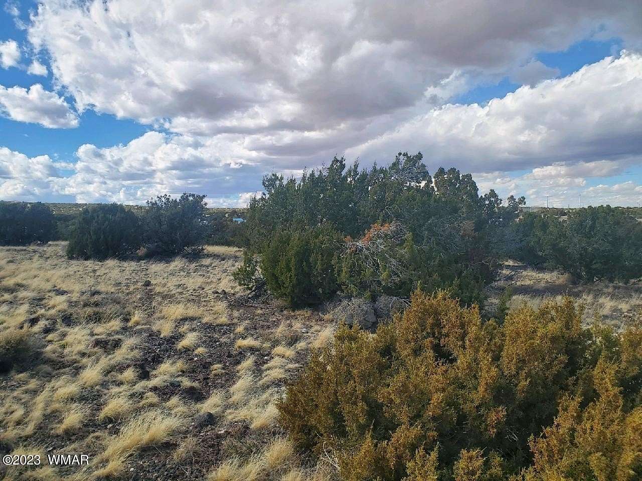 0.33 Acres of Residential Land for Sale in Concho, Arizona