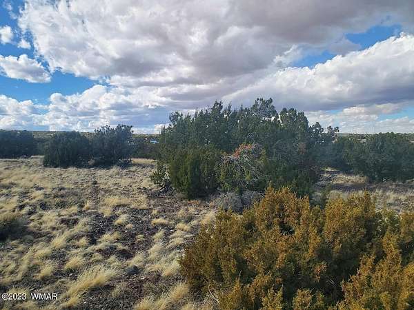 0.33 Acres of Residential Land for Sale in Concho, Arizona